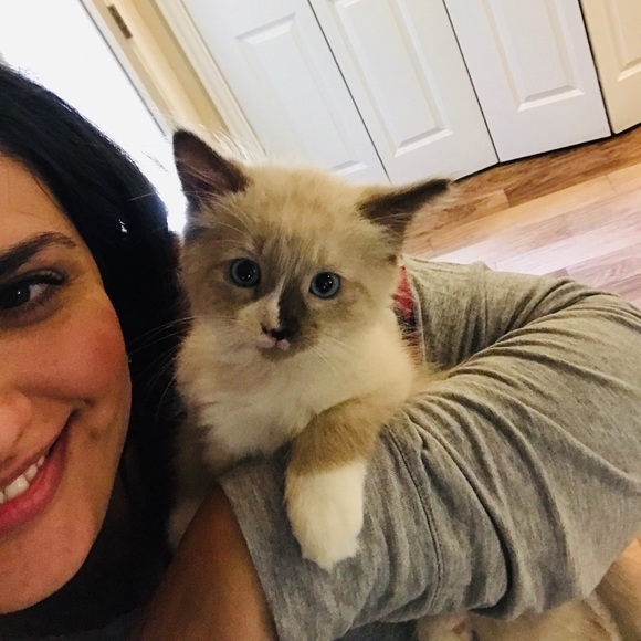 Meet your Posher, Ellie - Picture 2 of 2